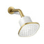 Cinq® Square single-function filtered showerhead, 2.5 gpm