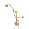 Riser Diverter, Handshower, Handshower Holder, Hose and 8" Thermostatic Outlet