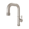 Kitchen Faucet - Raw 400686 w/ Dual Spray