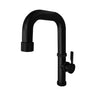 Kitchen Faucet - Raw 400686 w/ Dual Spray