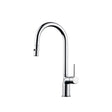 Maier 43390 w/Dual Spray Chrome