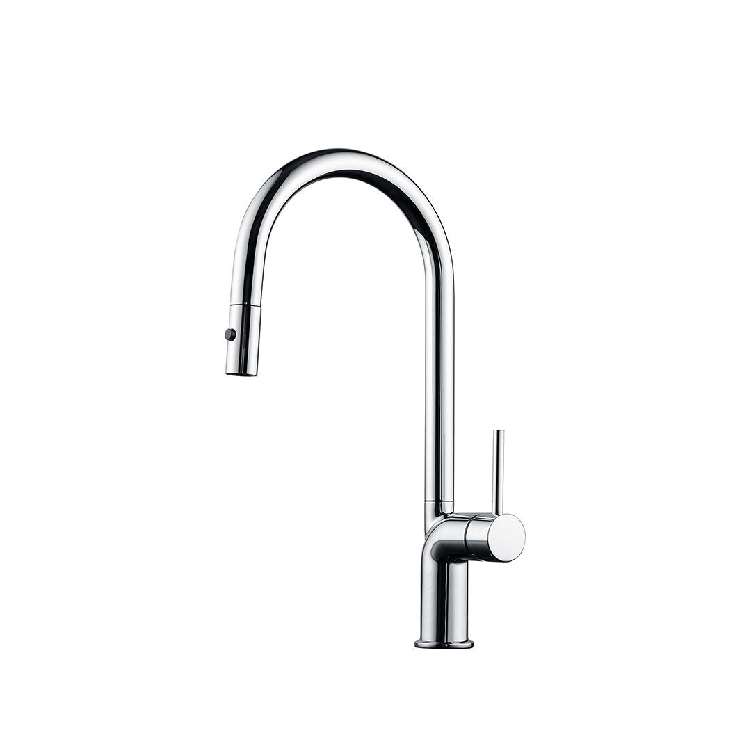 Maier 43390 w/Dual Spray Chrome