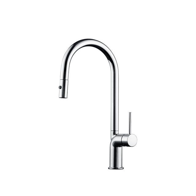 Maier 43390 w/Dual Spray Chrome