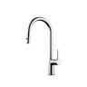 Maier 43390 w/Dual Spray Chrome