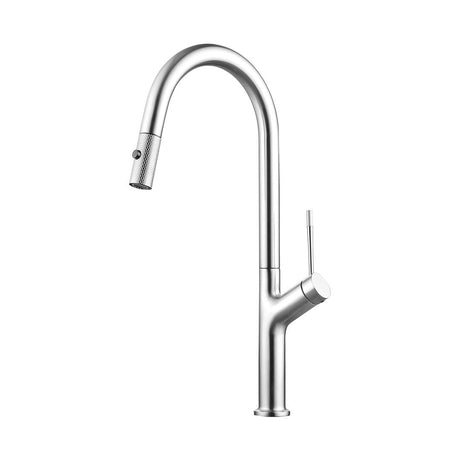 Maier 43397 w/Dual Spray Chrome