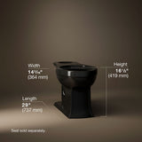 Archer® Elongated toilet bowl