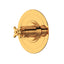 Armstrong 3/4" Thermostatic Trim Without Volume Control