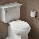 Lustra™ Quick-Release™ elongated toilet seat