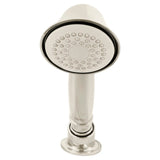 Delancey 1.8 gpm/6.8 L/min Single Function Water-Saving Hand Shower