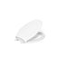Glenbury™ ReadyLatch® Quiet-Close™ elongated toilet seat