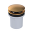 PVC Integral Waste & Overflow Clicker® Kit with Overflow, Partially Threaded Strainer (501Q)
