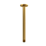 Shower/bath Components 30 Cm (12") Vertical Shower Arm