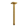 Shower/bath Components 30 Cm (12") Vertical Shower Arm
