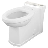 Décor Right Height Elongated Toilet Bowl
