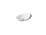 Iron Plains® 20-3/4" oval vessel bathroom sink