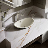 Iron Plains® 20-3/4" oval vessel bathroom sink