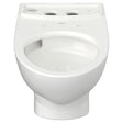 Glenwall® VorMax® Back Outlet Elongated Wall-Hung EverClean® Bowl