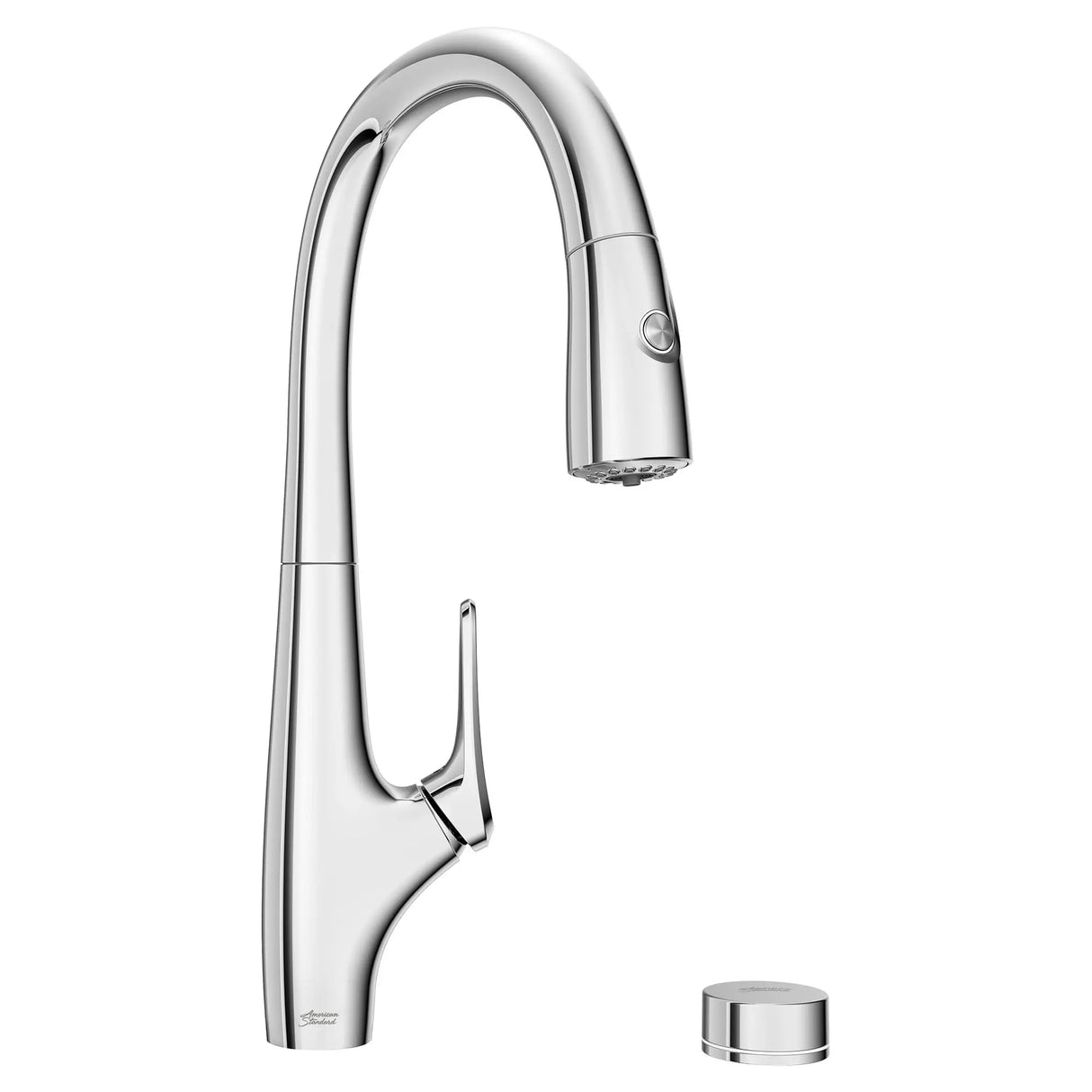 Saybrook® Single-Handle Pull-Down Dual Spray Kitchen Faucet 1.5 gpm/5.7 L/min With Filter