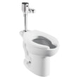 Ultima® Selectronic® Exposed Toilet Flush Valve, Diaphragm Type, Battery, 1.28 gpf/4.8 Lpf