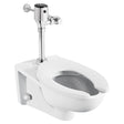 Ultima® Selectronic® Exposed Toilet Flush Valve, Diaphragm Type, Base Model, Dual Flush 1.28/1.1 gpf (4.8/4.2 Lpf)
