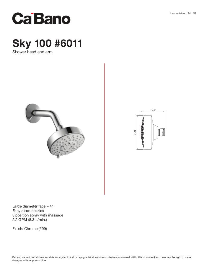 Sky 100 Shower head with arm