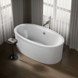 Sunstruck® 65-1/2" x 35-1/2" freestanding bath, straight shroud