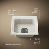 Northland™ 15" undermount single-bowl bar sink