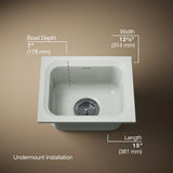 Northland™ 15" undermount single-bowl bar sink