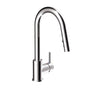 Pull-down kitchen faucet, 2 sprays