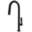 Aquabrass Grill Pull-Down Dual Stream Kitchen Faucet - image 3