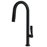 Aquabrass Grill Pull-Down Dual Stream Kitchen Faucet - image 3
