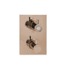 2 Way Thermostatic Valve - Muse Diamond 67602RN