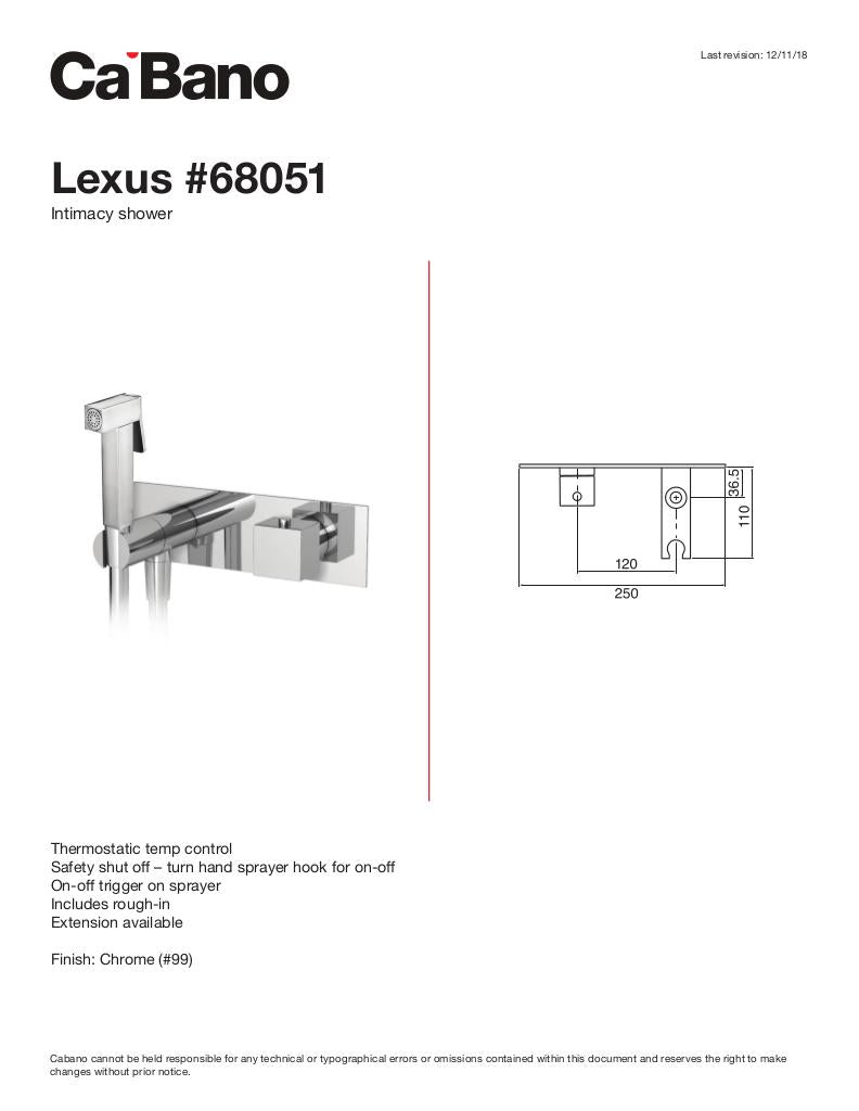 Single hole bidet faucet