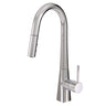 Pull-down dual stream mode kitchen faucet