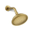 Artifacts® Single-function showerhead, 2.5 gpm