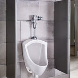 Ultima Manual Urinal Flush Valve, Piston-Type, 0.125 gpf/0.5 Lpf