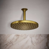 Awaken® 10" single-function rainhead, 2.5 gpm