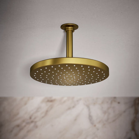 Awaken® 10" single-function rainhead, 2.5 gpm