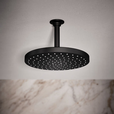 Awaken® 10" single-function rainhead, 1.75 gpm