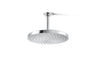 Awaken® 10" single-function rainhead, 2.5 gpm