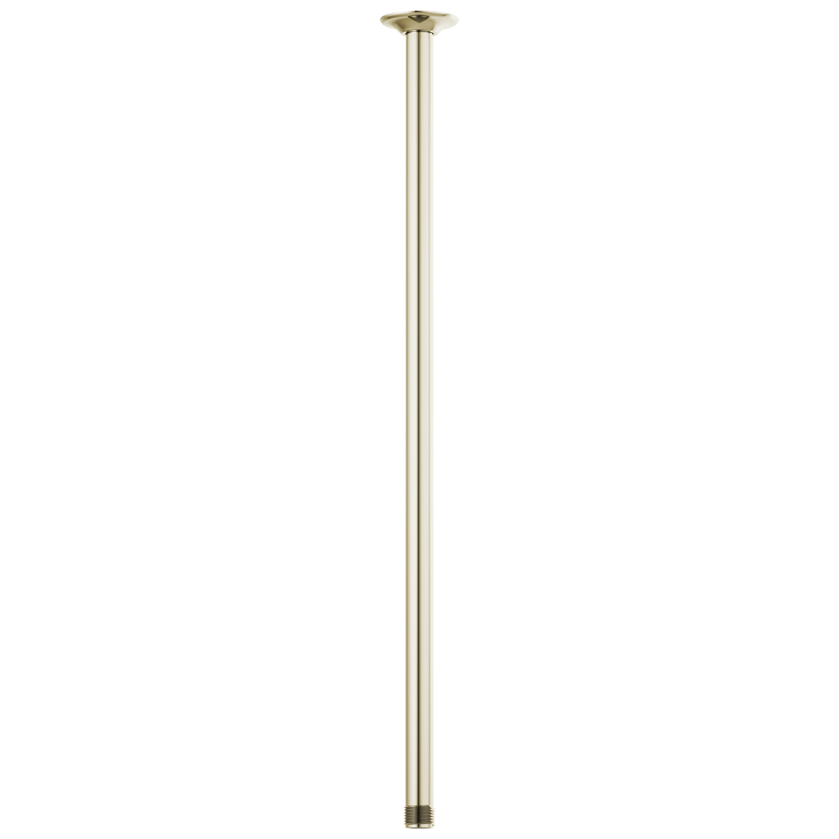 Essential Shower Series 24" Ceiling Mount Shower Arm And Round Flange