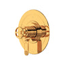 Armstrong 1/2" Therm & Pressure Balance Trim With 3 Functions
