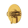 Armstrong 1/2" Therm & Pressure Balance Trim With 3 Functions