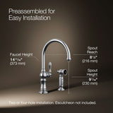 Artifacts® Single-handle kitchen sink faucet with two-function sprayhead