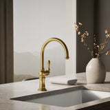 Artifacts® Single-handle kitchen sink faucet