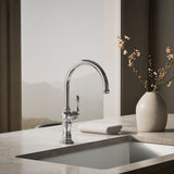 Artifacts® Single-handle kitchen sink faucet