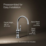 Artifacts® Single-handle kitchen sink faucet