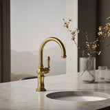 Artifacts® Single-handle kitchen sink faucet