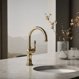 Artifacts® Single-handle kitchen sink faucet
