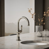 Artifacts® Single-handle kitchen sink faucet
